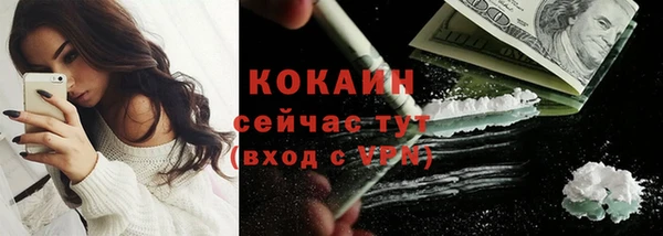 молекула духа Нягань