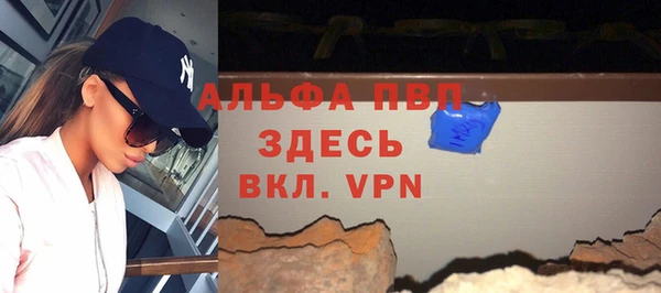 стаф Новокубанск