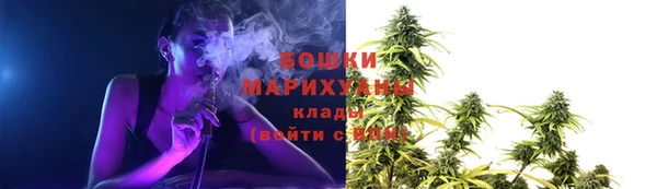 трава Новодвинск