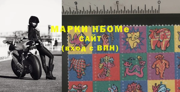 стаф Новокубанск