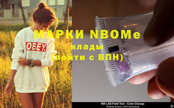 молекула духа Нягань