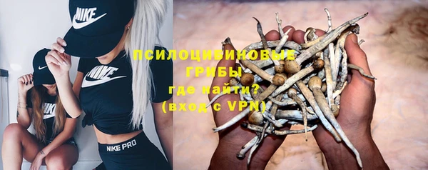 молекула духа Нягань