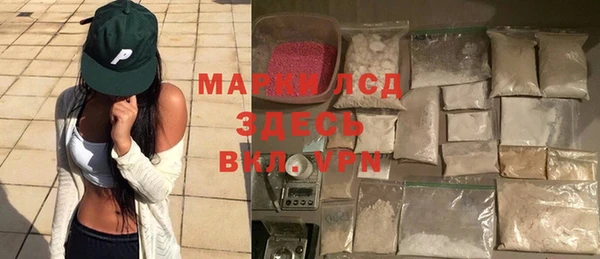 стаф Новокубанск