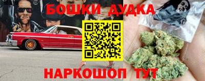 индика Беслан