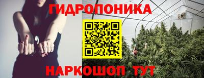 Альфа ПВП Бийск