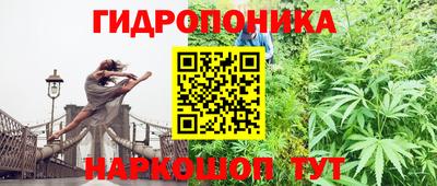 индика Беслан