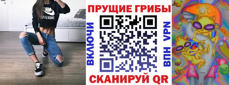 Галлюциногенные грибы прущие грибы  Морозовск 