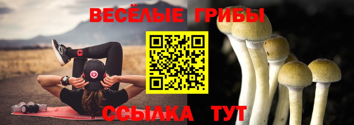 купить наркотик  Псилоцибиновые грибы GOLDEN TEACHER  Морозовск  Вход с VPN  Псилоцибиновые грибы MAGIC MUSHROOMS 